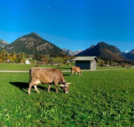 Apartament Bergpanorama Oberstdorf Zewnętrze zdjęcie